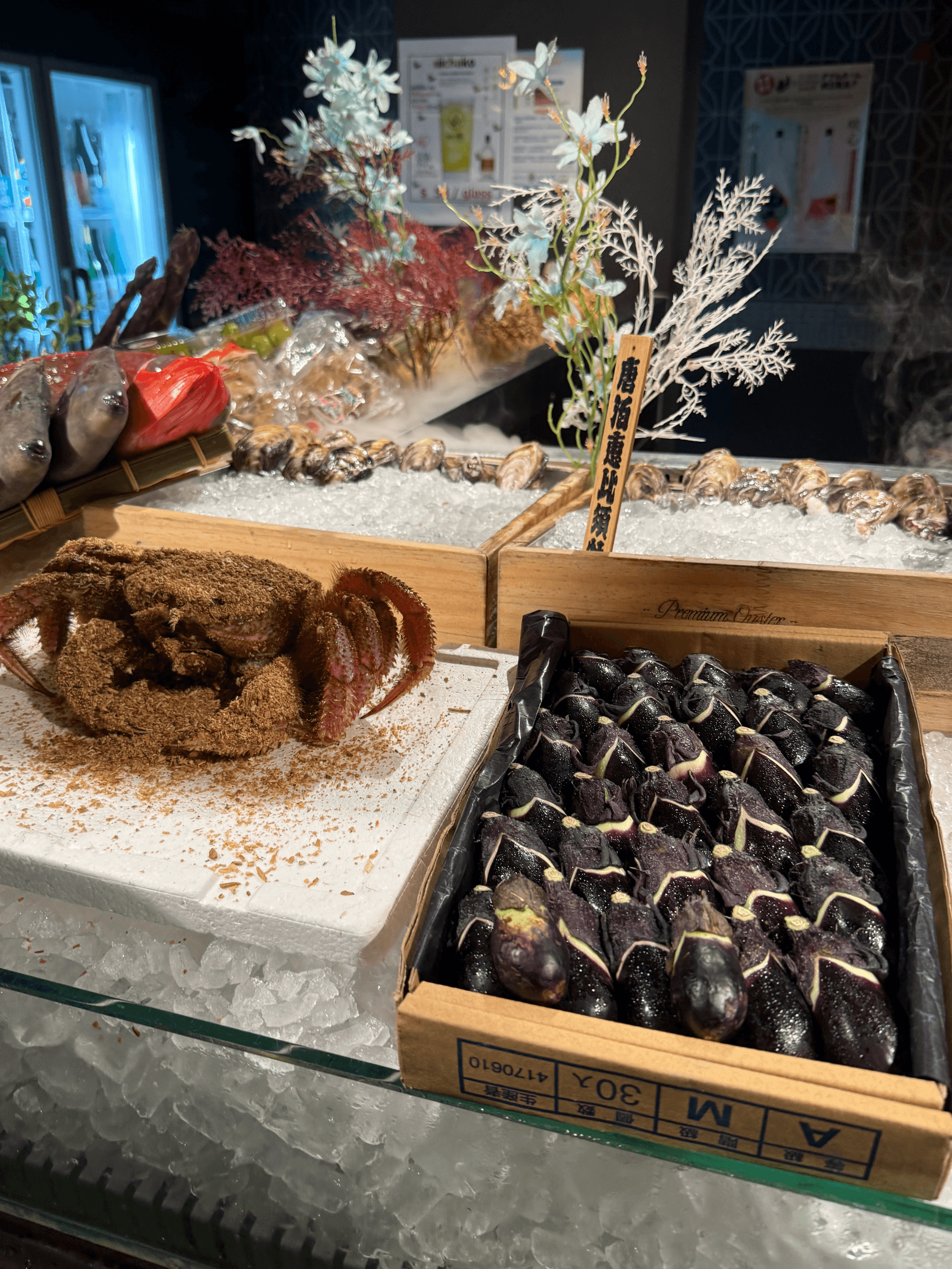 炭兎 SUMITO SUMITO — IMG_4685